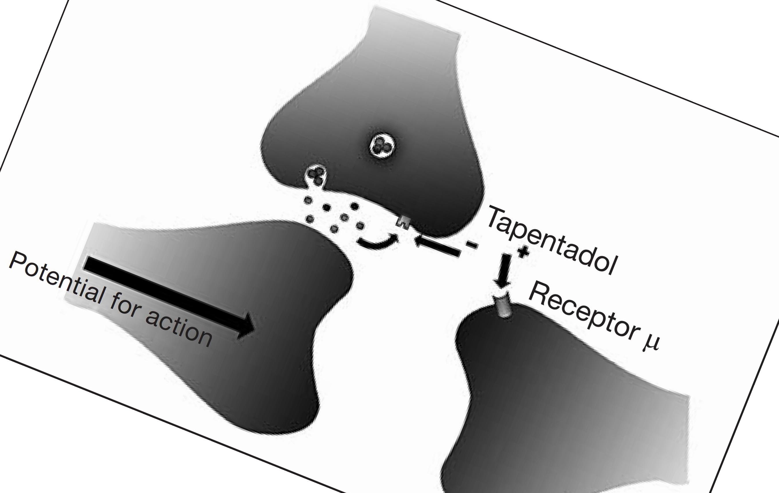 Palexia 50 price Palexia 50 Price